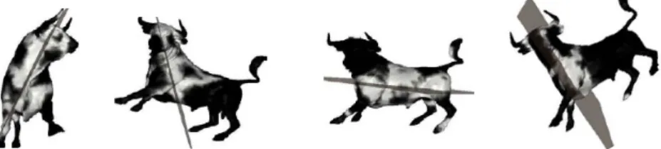 Figure 13: Symmetries with respect to planes representing the four strong local maxima of the PRST