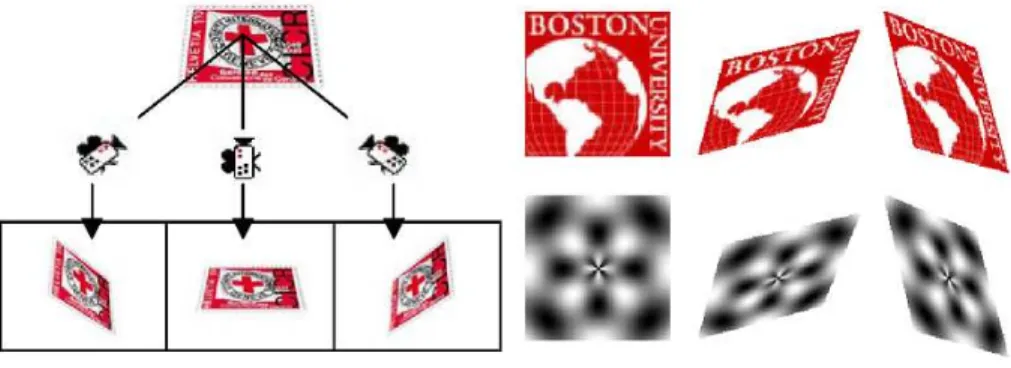 Fig. 2. Object seen according to various angles and example of projected basic functions on the support plane of the object to be identified.