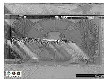 Figure 3.1: Image of ST LYPR540AH Tri-axis MEMS gyroscope, shot by a scanning electron microscope