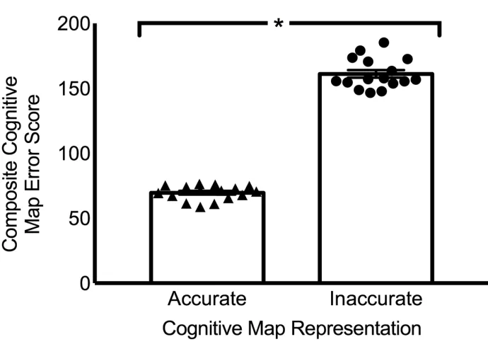 Figure 3: Composite cognitive map error scores. 