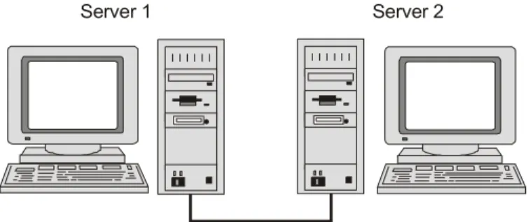 Figure 2: NEC Clustering Configuration