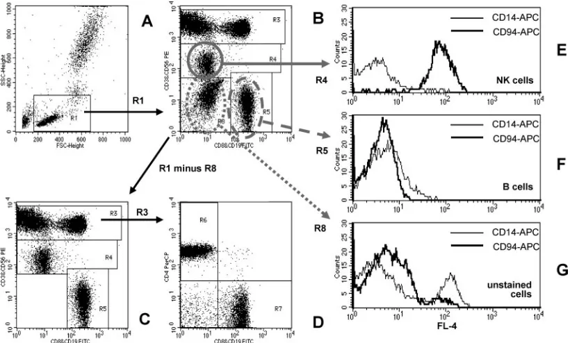 FIG. 1. Quantiﬁcation of peripheral blood lymphocyte subsets by the T1 FCM method. (A) Lymphocytes are identiﬁed as low FSC and low SSCcells (region R1)