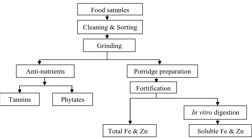 Figure 0.1 Flow chart on determination of anti-nutrient content and bio-accessibility of 
