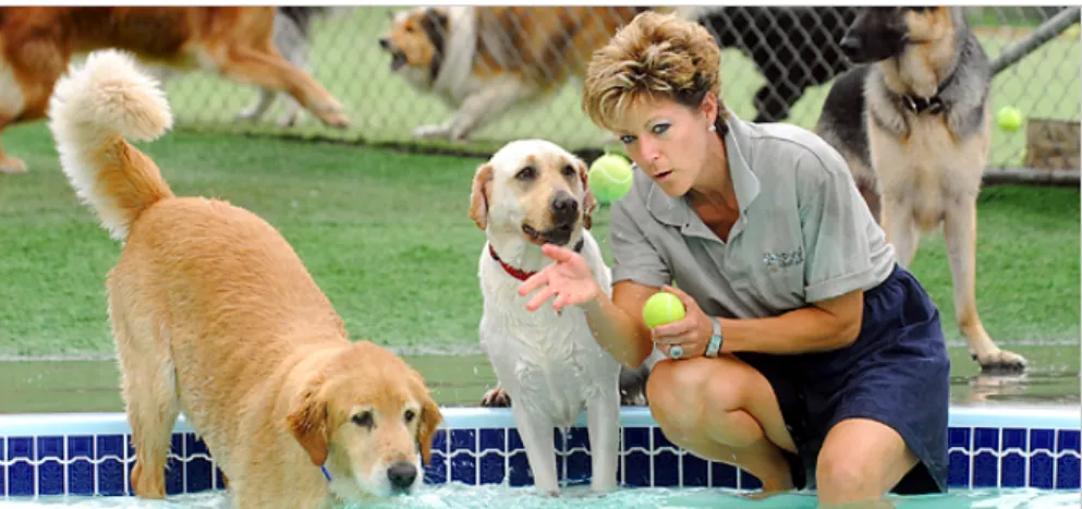Figure 5.  Jean Beuning of the Top Dog Country Club playing with her canine guests in the heated  swimming pool