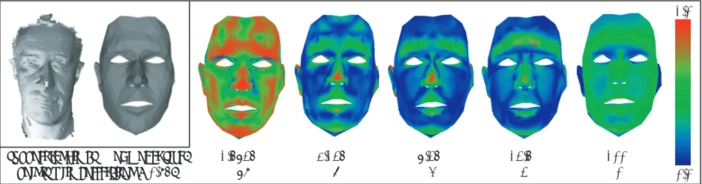 Figure 9. Correlating the selected point (x) on one face model (left) to the surface points of the other face model