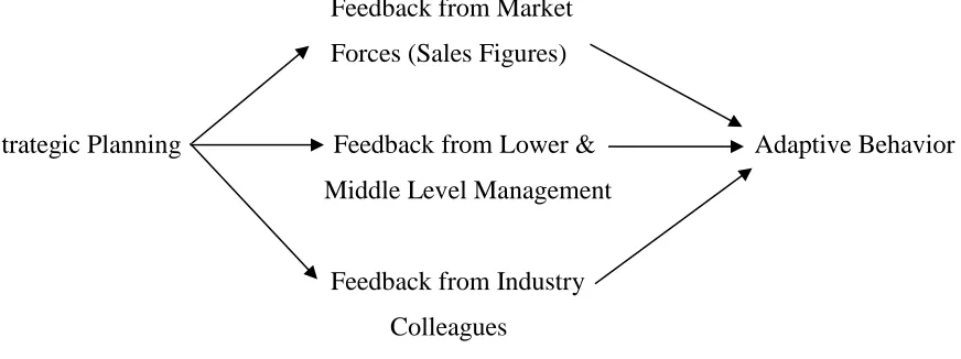 Figure 2: Top-Down Strategic Adaptation Model 