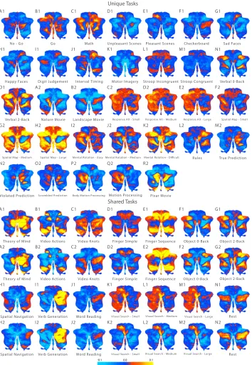 Figure 2. Task Activity Maps. Unthresholded, group-averaged activity patterns for 61 task conditions (after the removal of activity patterns related to basic motor output)