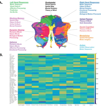 Figure 8. Comprehensive Map of Functional Organisation (A) and Task Loading Matrix (B)