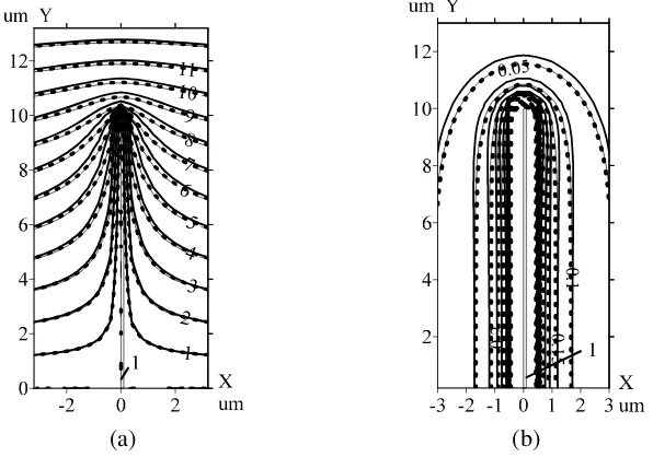 Figure 2. Calculated distributions of the equal potential lines (in V) at application of the uniform EFpotential application to the rod