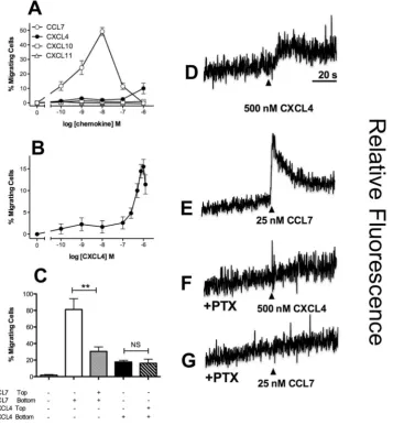 Figure 1. THP-1 cells respond to CXCL4 - Panels A and B. Migratory responses of THP-1 cells to increasing concentrations of CXCL4, CCL7, CXCL10 and CXCL11 (n = 4, Panel A; n = 3 Panel B)