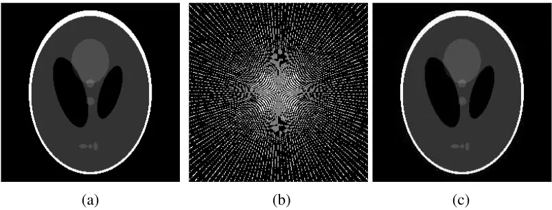Figure 3. The MR image recovery eﬀect of the LISTA algorithm at 30% sampling. (a) Original image.(b) Sampling matrix