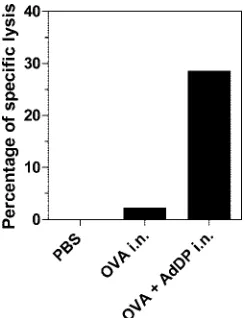 FIG. 6. Analysis of the lymphocyte-mediated cytotoxic activitystimulated in vivo in C57BL/6 mice immunized with AdDP as the