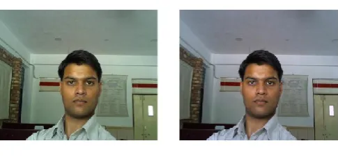Figure 3.4 an Image without (Left) and With (Right) White Balance Correction 