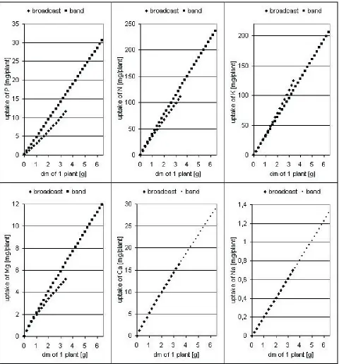 Fig. 2. Relationship between the uptake of mineral components and dry mass (dm) accumulation during the initial period of maizedevelopment for the given fertilization methods.