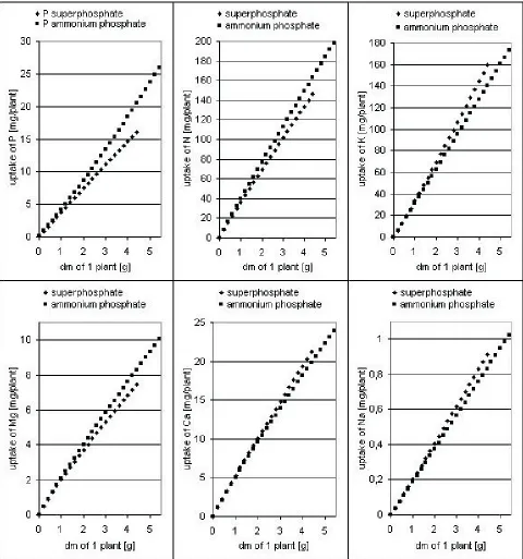 Fig. 1. Relationship between the uptake of mineral components and dry mass (dm) accumulation during the initial period of maizedevelopment for the given fertilizer types.