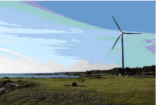 Figure A1. Examples of wind turbines in a location with elevated collision risk to birds and bats, in  this case, on the coast of Öland