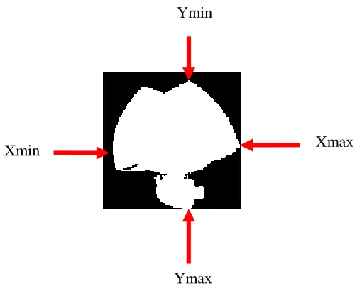 Figure (4): The four edges value for a result segment.    then check if this segment is hole or background by checking the edges of segment   if they are fail on 