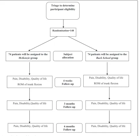 Figure 1 Flow diagram of the study.