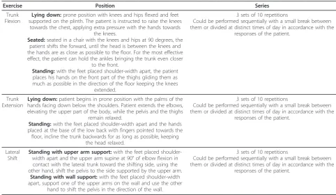 Table 1 Summarised description of the treatment programs