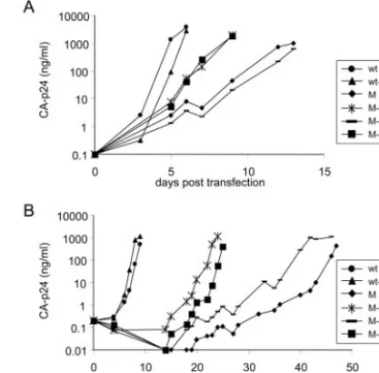 Fig. 3 for details. The two mutated PAS and PBS nucleotides areFIG. 4. Evolution of PAS/PBS-lys1,2 mutant