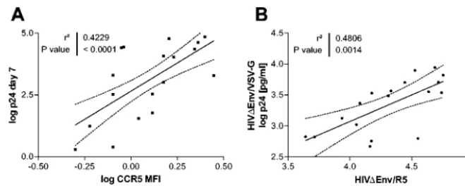 FIG. 4. Variations in intracellular steps. (A) Single-cycle experiments with HIV�HIVthe VSV G protein envelope