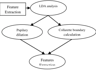 Fig.3. LDA Analysis  