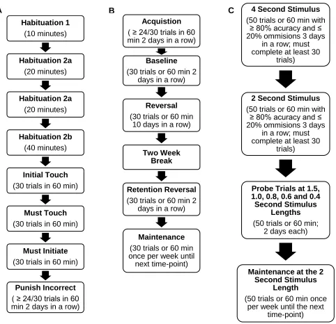 Figure 1. Summary of touchscreen pre-training, PVD and 5-CSRTT schedules.  A) Flow chart of the touchscreen pre-training schedules, their duration and criterion