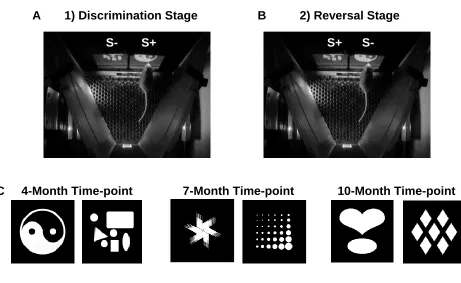 Figure 2. S+ and S- stimulus presentation and stimuli used in pairwise visual 