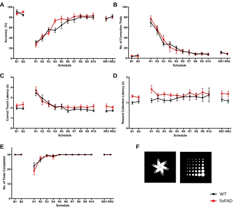 Figure 7. Reversal learning phase of the PVD task at the 7-month time-point.  