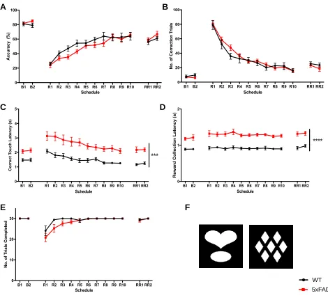 Figure 8. Reversal learning phase of the PVD task at the 10-month time-point.  