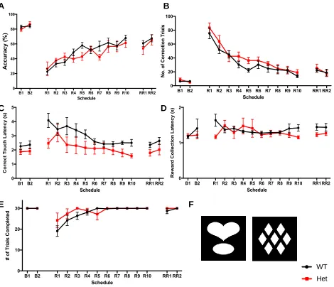 Figure 10. Reversal learning phase of the PVD task at the 10-month time-point separated by Pdebrd1 genotype