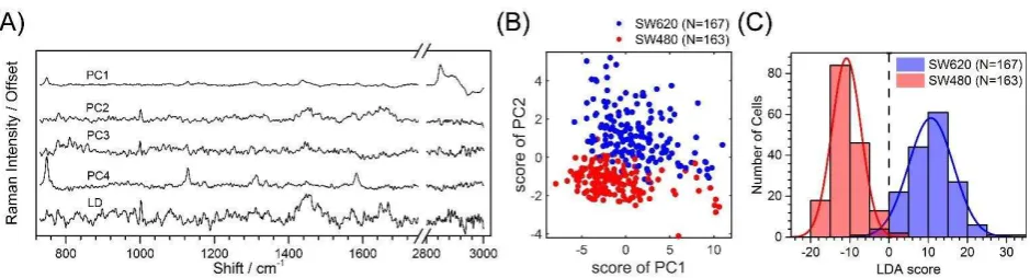 Figure 2: PCA/LDA results. (A) Shape of the PCs 1 to 4 and of the LD (B) 2D plot of the scores for the first two PCs