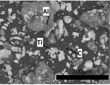 Fig. 4 Backscatter Electron (BSE) SEM Image of powder reactants. 