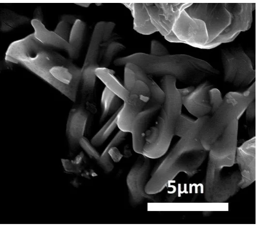 Fig. 6 � SEM image of TAC3 sample after synthesis, crushing and washing. 