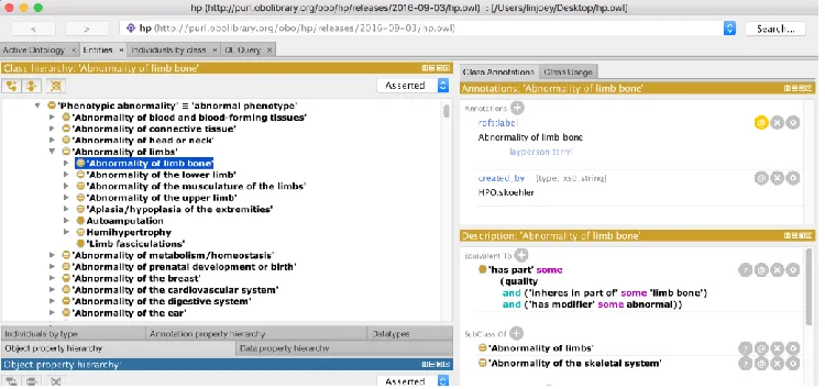Figure 2 Protégé Class Browser 