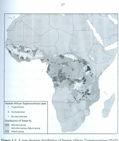 Figure 1.1: A map showing distributiontsetse flies in Africa (WHO, 2012).