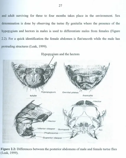 Figure 2.2: Differences(Leak, 1999).