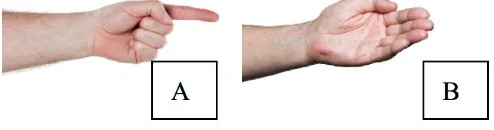 Figure 4.  Images of gestural deixis