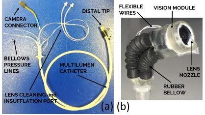 Fig. 1: Disposable ﬂexible endoscope: (a) Overview of the endoscope;(b) Detail of the distal endoscopic viewing tip.