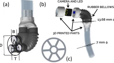 Fig. 2: CAD model of the distal steerable tip: (a) the bellows arrangedin parallel having a diameter of 13.68 mm; (b) the distal tip that isconnected to the multi-channel catheter and that is embedded witha camera having illumination; (c) cross sectional view of the multi-lumen catheter.