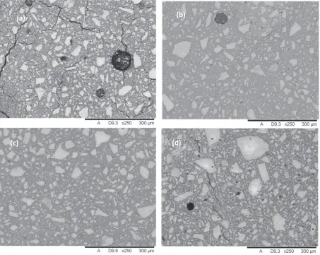 Fig. 15. BSE images of CAP cements after 28 days of curing at a) 35 °C, b) 60 °C, c) 95 °C and d) 180 °C (magniﬁcation × 250).