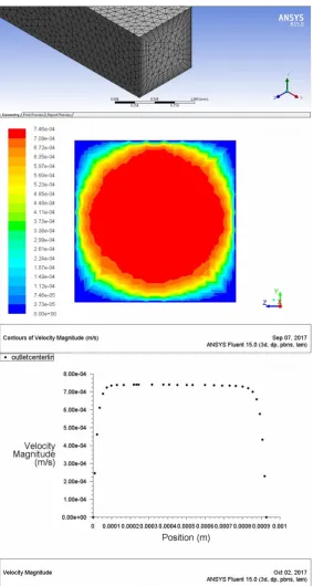 Figure 2.12: The results of a simulation for Carbopol in the channel shown in Fig. 2.10