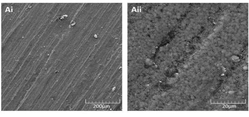 Figure 2.1.3.C), respectively. The HA coating was composed of 0.25 mol/L 