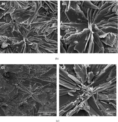Figure 2.1.3 Scanning electron microscope (SEM) images of different magnesium coatings