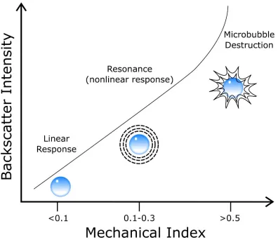 Figure 1.6: The backscatter intensity, and microbubble response, depend on the mechanicalindex of imaging.