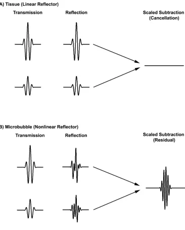 Figure 1.11: Diagrammatic example of wave form responses to amplitude modulation process-ing.