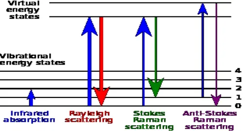 Fig 1. Energy-level diagram showing the states involved in Raman signal.  The Raman effect occurs when electromagnetic radiation impinges on a molecule and interacts with the polarizable electron density and the bonds of the molecule in the phase (solid, l