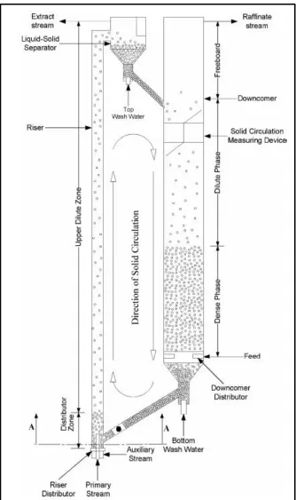 Figure 1.1: Schematic diagram of a liquid-solid circulating fluidized bed 