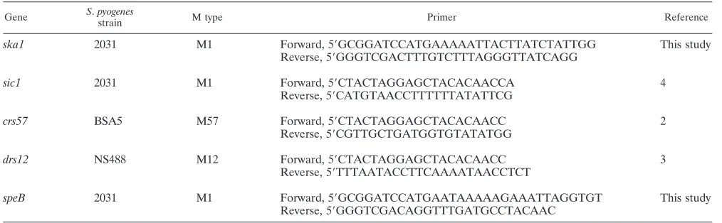 TABLE 1. Primers used in this study to amplify streptococcal genes