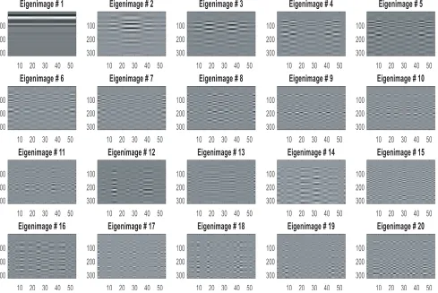 Figure 10. The 20-ICA Eigen image components.